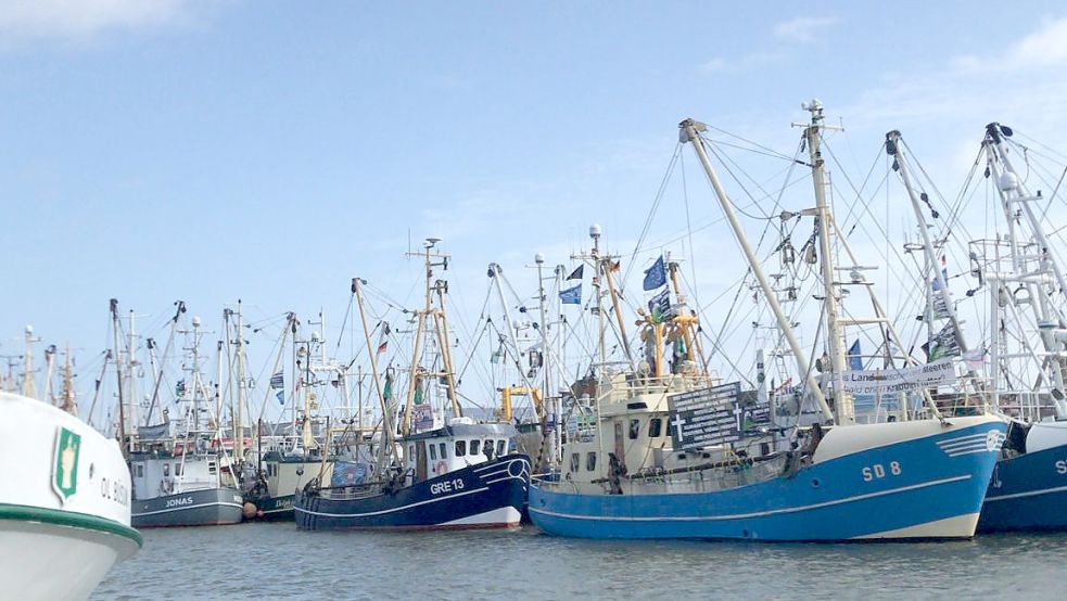 Viele Krabbenkutter liegen im Büsumer Hafen und protestieren lautstark gegen die EU-Pläne. Foto: Carsten Noormann