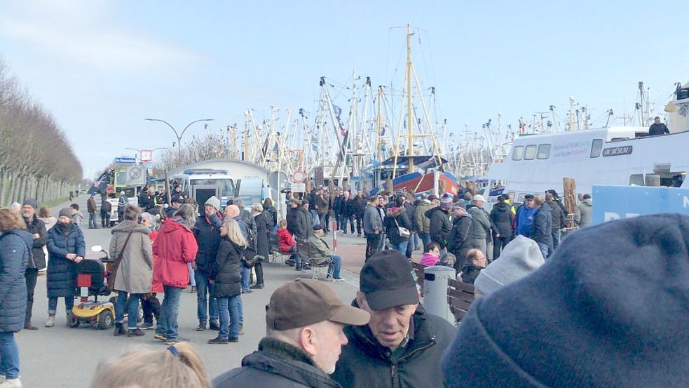 Am Hafen von Büsum sind auch viele Ostfriesen. Foto: Carsten Noormann
