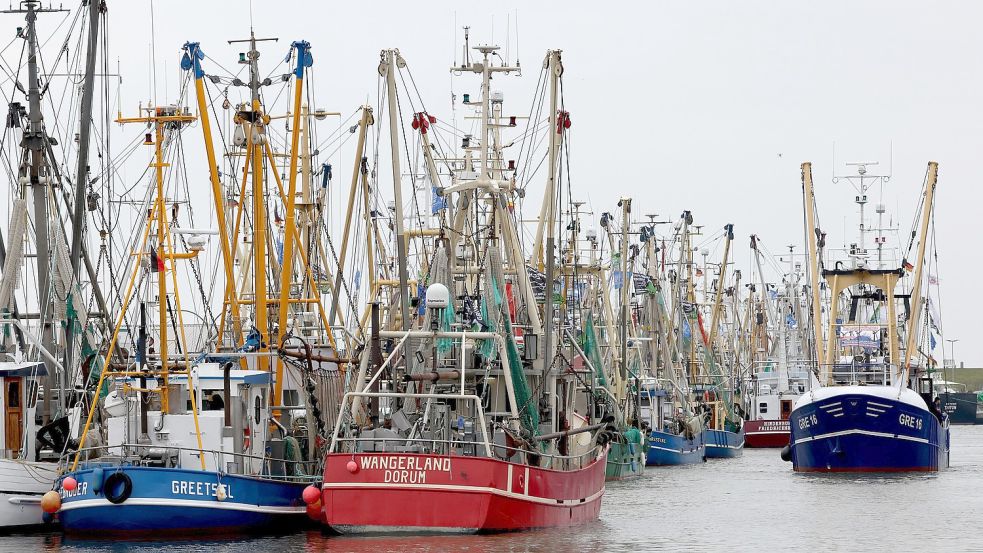 Rund 60 Kutter waren zum Protest nach Büsum gefahren – auch aus Ostfriesland. Foto: DPA