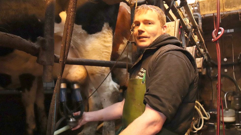 Govert Beekenkamp sonntagfrüh im Melkstand. Foto: Karin Böhmer