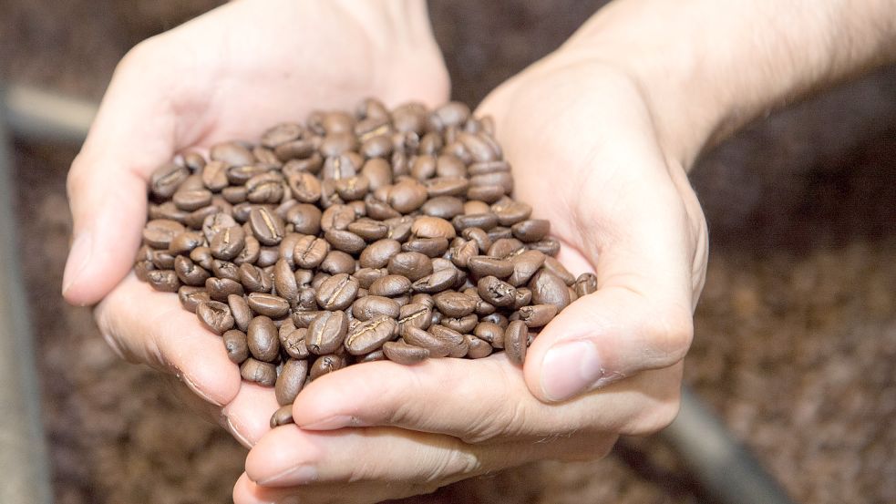 Acrylamid-Gefahr: Kaffee selber rösten nichts für Vieltrinker Foto: Robert Günther