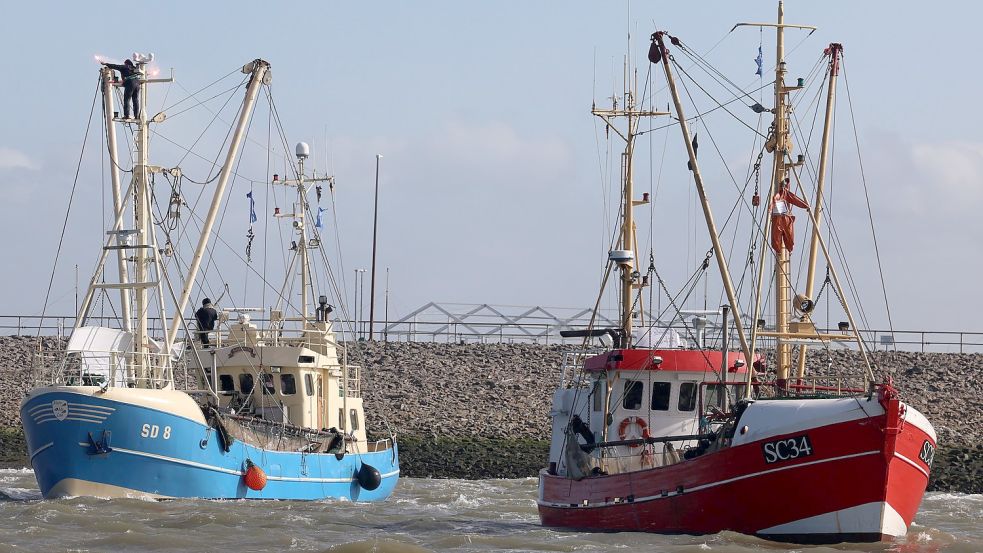 Krabbenkutter sind auch für den Tourismus wichtig. Foto: Molter/dpa