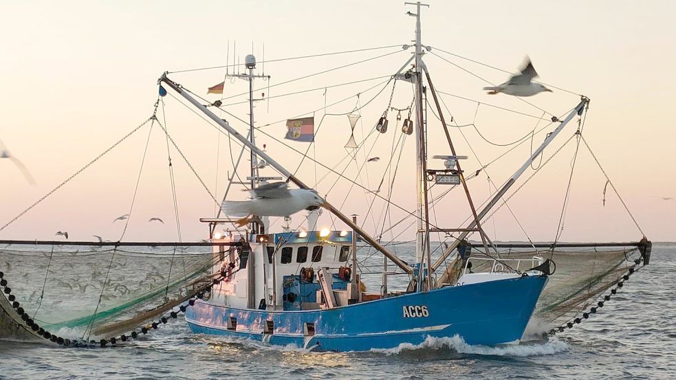 Krabbenfischer René Gregor Janßen ist mit seinem Kutter "Irmgard Marie" wieder auf der Nordsee unterwegs. Foto: Privat