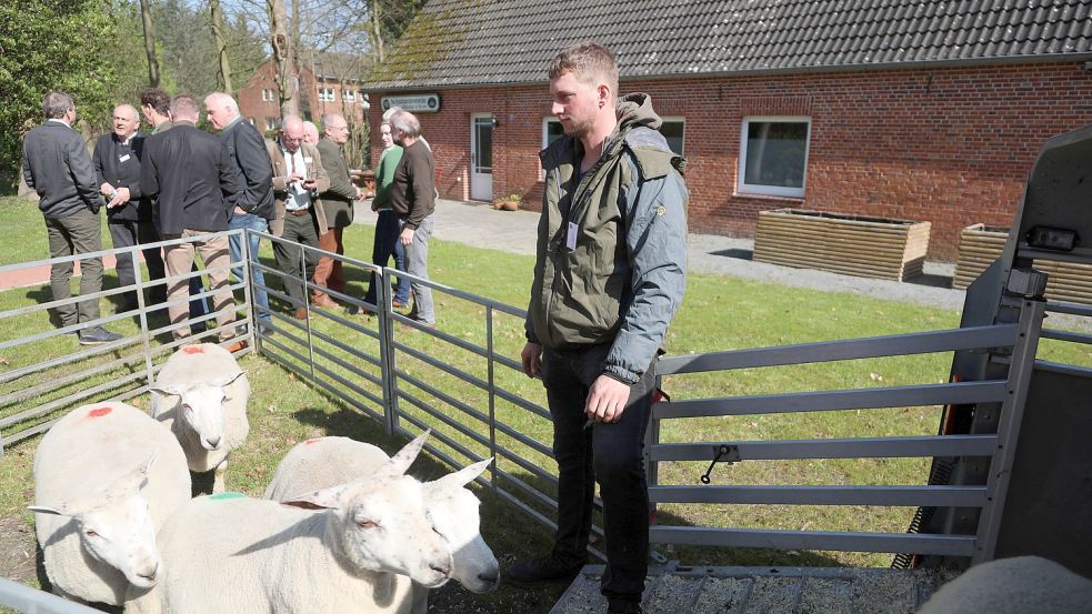 Janko Schneider hatte einige seiner rund 2000 Schafe mitgebracht. Foto: Romuald Banik