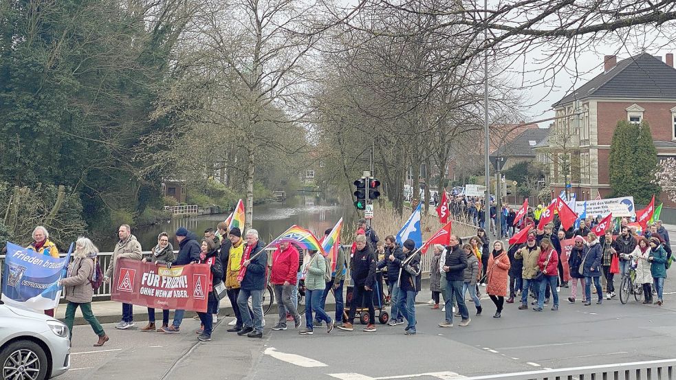 Etwa 250 Menschen zogen am Sonnabend durch Emden. Foto: Neelke Harms