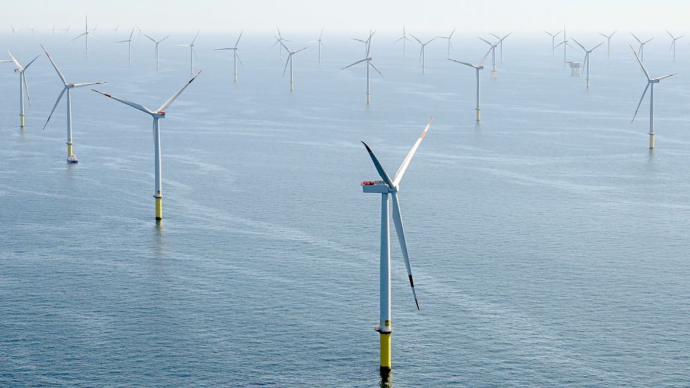 Blick aus einem Hubschrauber auf den Offshore-Windpark Borkum Riffgrund 2 von Ørsted.Foto: DPA