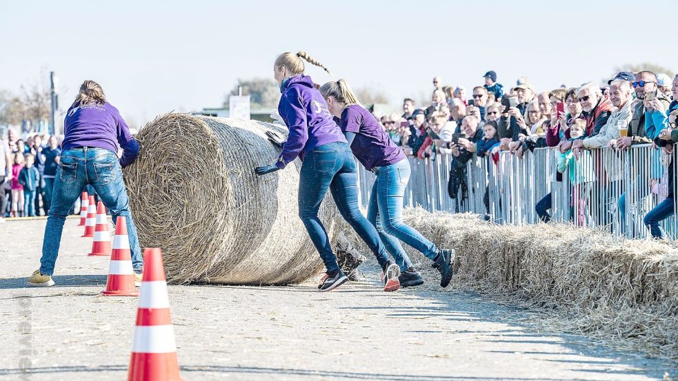 Die Strohballen-Rollmeisterschaft findet in diesem Jahr erneut statt. Foto: privat