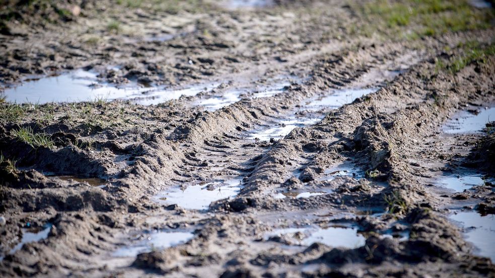 Die Moor- und Grünflächen im Kreis Aurich stehen nach den vielen Regenfällen noch unter Wasser. Das verzögert die Düngung und die Aussaat. Foto: DPA