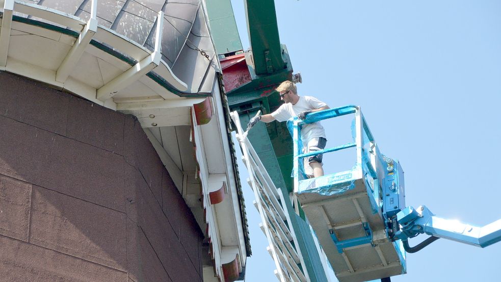 2019 wurden zuletzt die Flügel der Mühle in Upgant-Schott gestrichen. Foto: Thomas Dirks