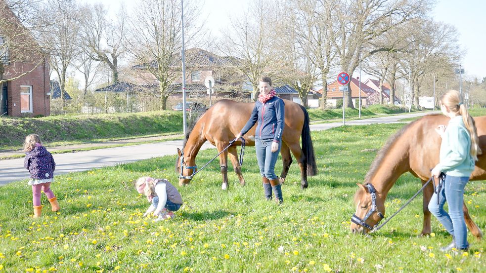 Familie ten Doornkaat erfüllt sich in Timmel einen Traum: Sie wohnt mit ihren Pferden zusammen und hat die Reitanlage direkt vor der Tür. Die Wohnsiedlung wurde damals als Sondergebiet von der Gemeinde Großefehn beworben. Foto: Kim Hüsing