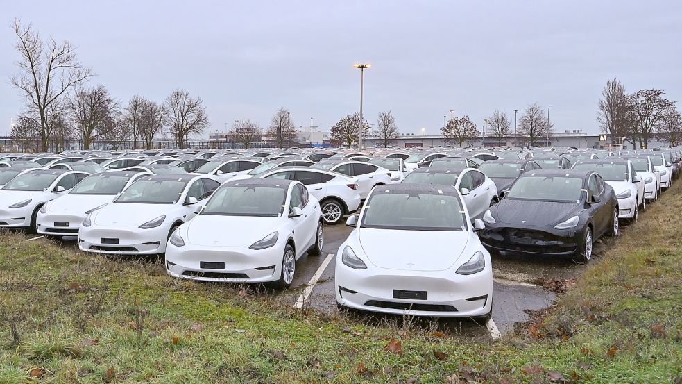 In der niedersächsischen Stadt Oldenburg soll demnächst ein neuer Tesla-Standort eröffnet werden. Foto: dpa/Patrick Pleul