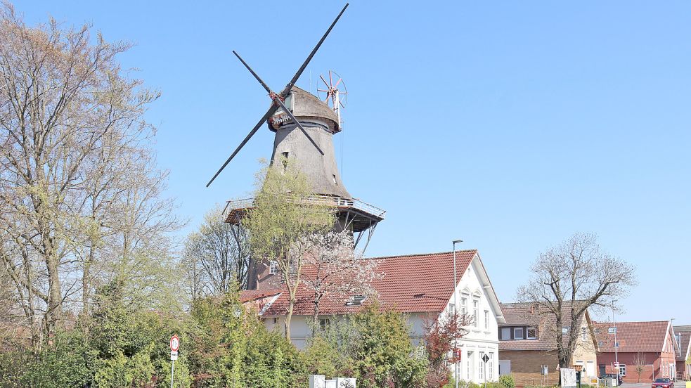 Bis zum Herbst sollen Galerie, Flügel und Kappe der Stiftsmühle saniert sein. Foto: Heino Hermanns