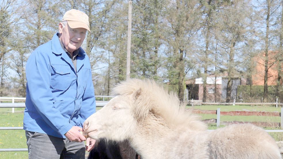 Peter Rocker hat Angst, dass ein Wolf sich seine Shetlandponys holen könnte. Foto: Heino Hermanns