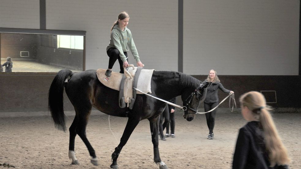 40 Kinder und Jugendliche nehmen an den Voltigiergruppen des Fahr- und Reitvereins Timmel teil. 20 weitere stehen auf einer Warteliste. Foto: Kim Hüsing