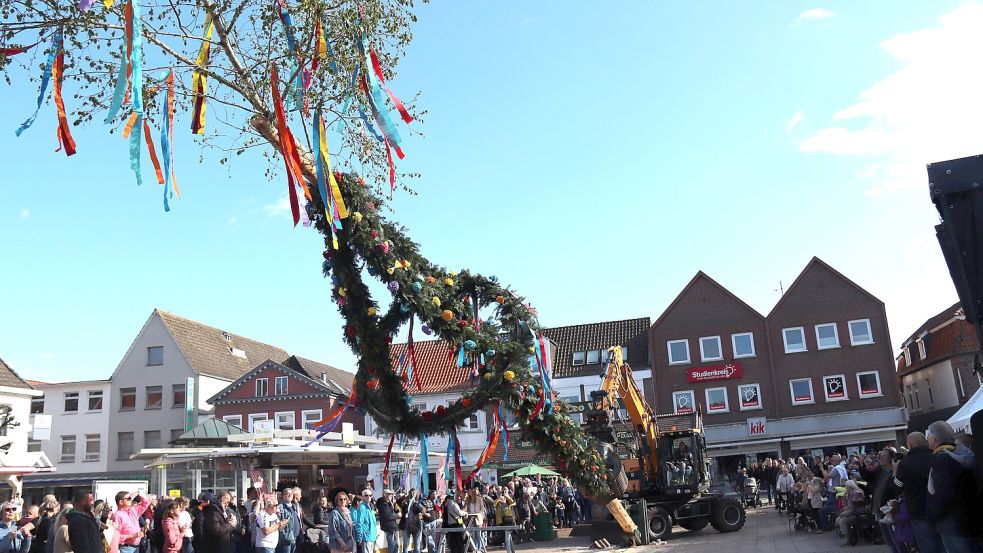 Ein Bagger von Edo Hoofdmann zog den Maibaum auf dem Auricher Marktplatz in die Höhe. Foto: Karin Böhmer