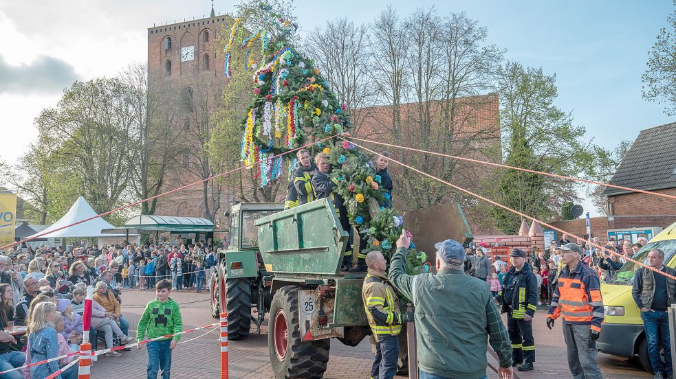 Die Feuerwehr half dabei, den Maibaum aufzurichten. Ein großer Auftritt vor großem Publikum. Fotos: Folkert Bents