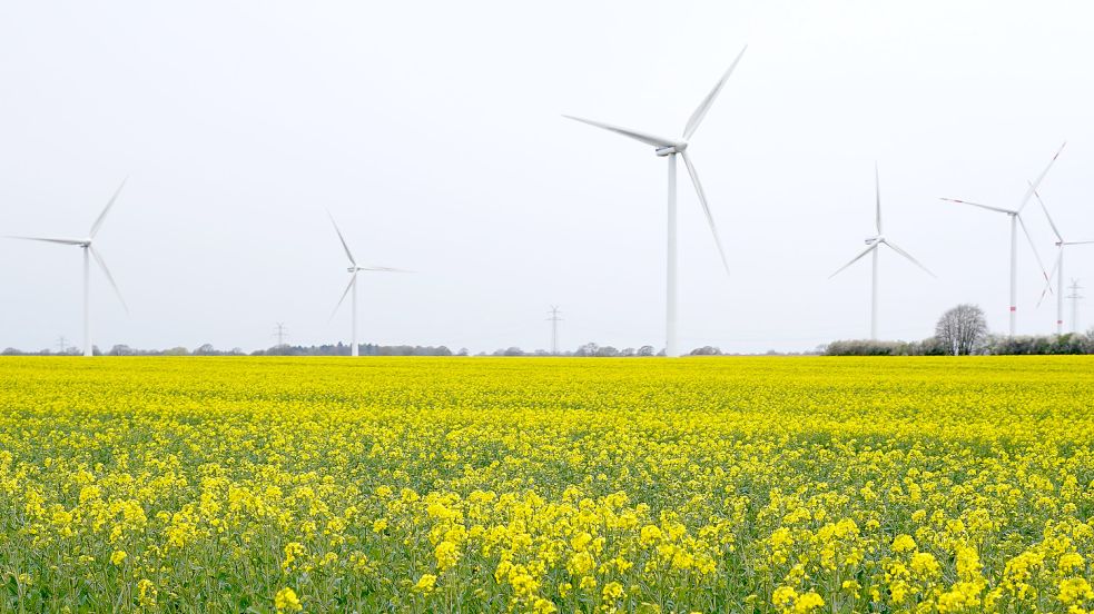 Die Gemeinde Großefehn möchte der Windkraft mehr Raum geben. Foto: DPA