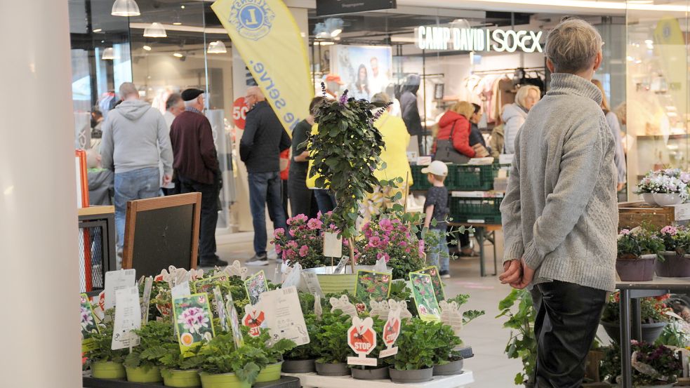 Zum ersten Mal durften die Geschäfte im Caro beim Geranienmarkt öffnen. Foto: privat