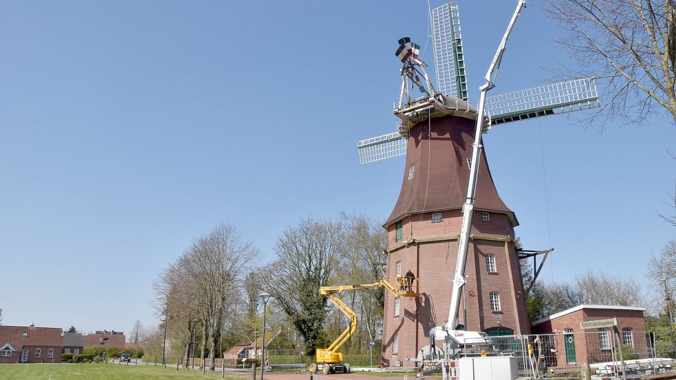 Ohne Galerie: So sah die Sterrenberg-Mühle in Upgant-Schott vor einigen Wochen aus. Foto: Thomas Dirks