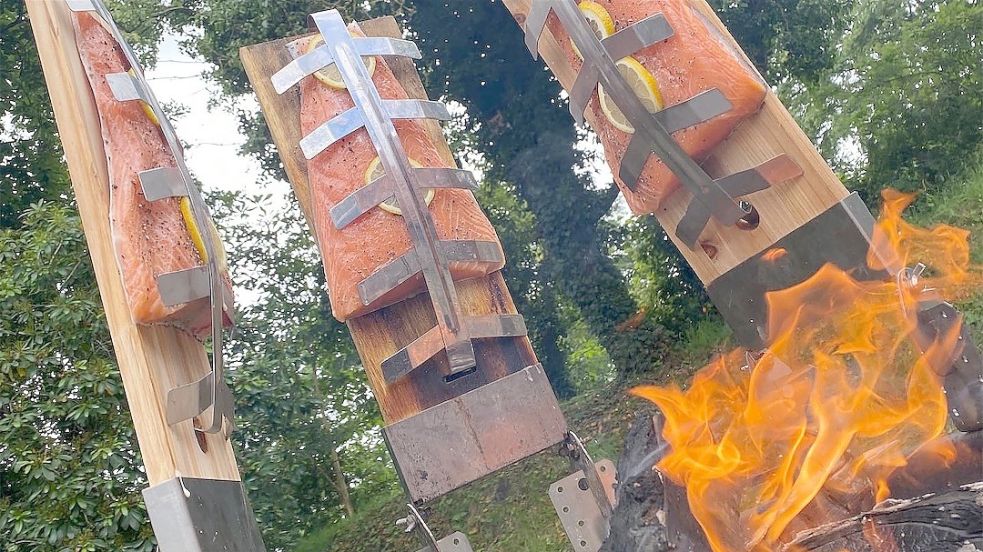 Lachsfilets garen auf Zedernholzplanken am offenen Feuer. Foto: Holger Janssen