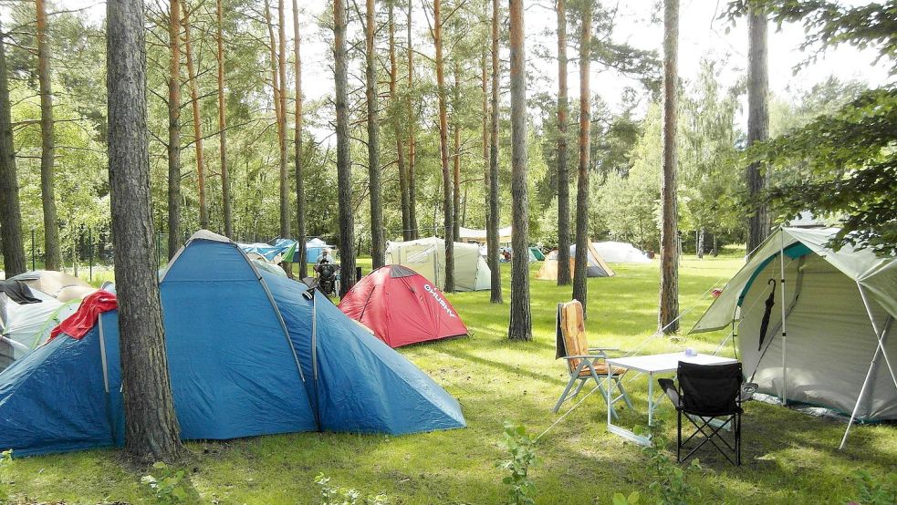 Das Hafencamp Senftenberger See in Brandenburg ist bei Leuten, die zelten wollen, sehr beliebt. Foto: Camping.info