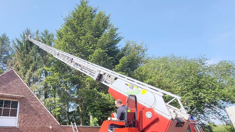 Mithilfe der Drehleiter fuhr die Imkerin zu den Bienen hinauf. Fotos: Feuerwehr