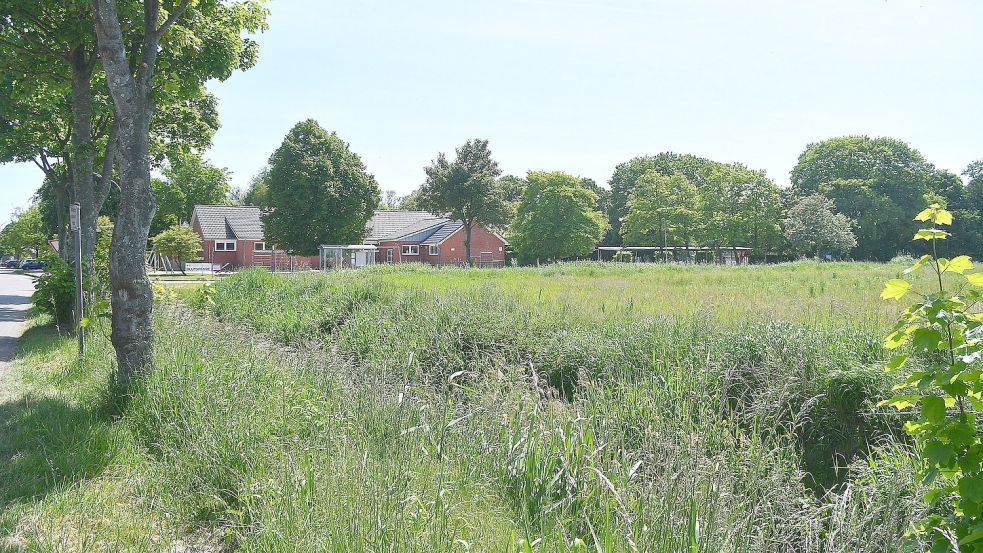 Auf der Fläche gegenüber der Grundschule, hier vom „Oll Hofweg“ fotografiert, soll bald ein neues Baugebiet entstehen. Foto: Gerd-Arnold Ubben