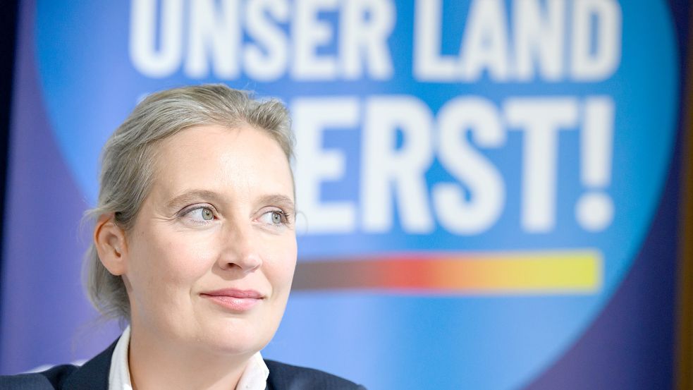 AfD-Chefin Alice Weidel muss nicht viel dafür tun, dass ihre Partei an Zuspruch gewinnt. Jeder Fehler der anderen zahlt bei ihr an. Foto: Bernd von Jutrczenka