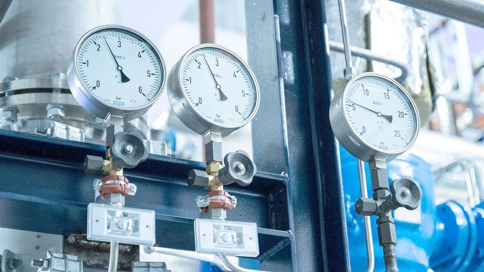 Ein Heizkraftwerk: Wärmenetze können angeschlossene Haushalte mit Energie versorgen. Foto: Christophe Gateau/dpa