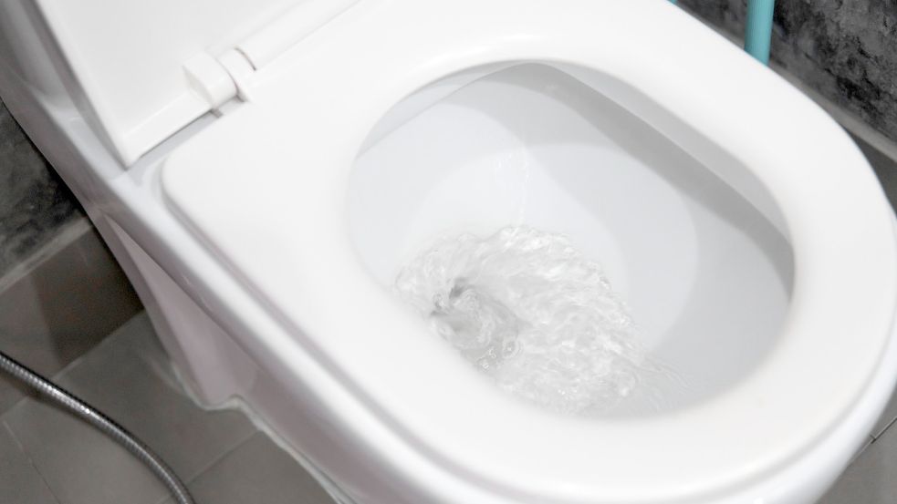 Jedes Mal, wenn man bei der Toilette die Spülung drückt, fällt Abwasser an. Und dessen Entsorgung kostet. Foto: Imago Images/Yay Images