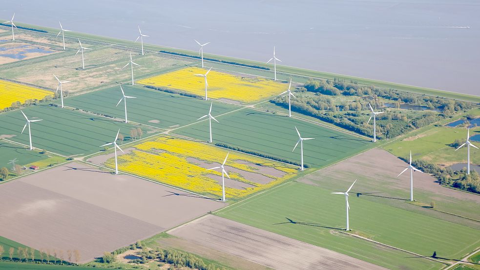 Auf diesen Flächen im Wybelsumer Polder in Emden soll die Lithium-Raffinerie entstehen. Foto: Stadt Emden/Tobias Bruns