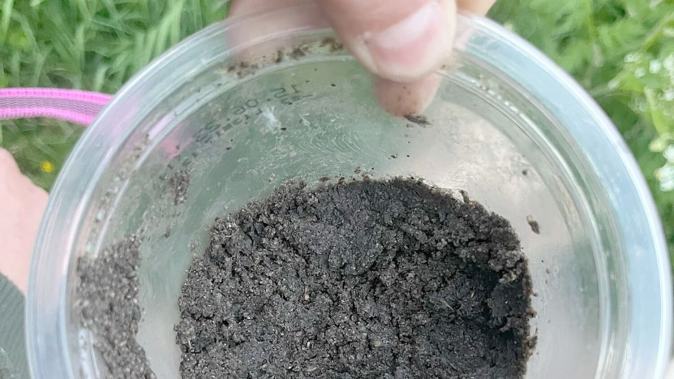 Dieses Kunststoffgefäß mit dem mutmaßlich giftigen Inhalt wurde im Mai in Upgant-Schott entdeckt. Foto: privat