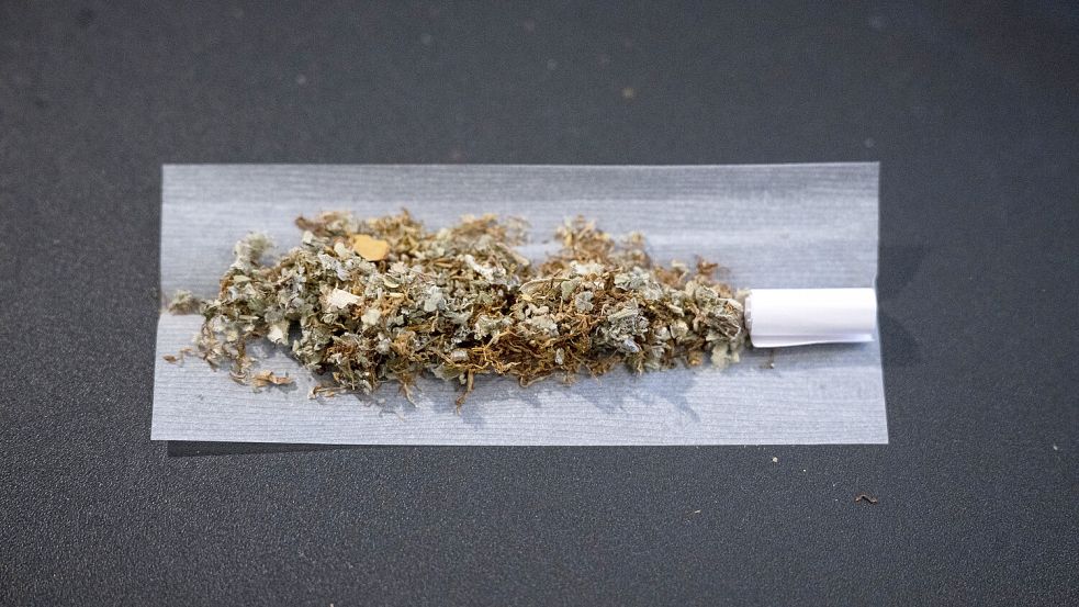 Eine Mischung aus Tabak und Cannabis wird für einen Joint vorbereitet. Foto: DPA