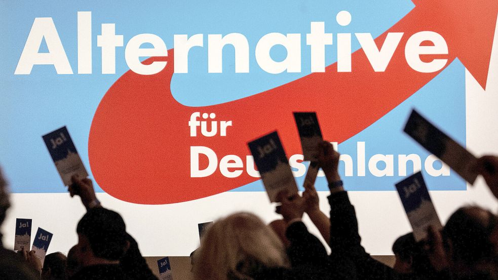 Die AfD liegt in Umfragen aktuell vor der SPD auf Platz zwei, stärkste Kraft ist die Union. Foto: dpa/Swen Pförtner
