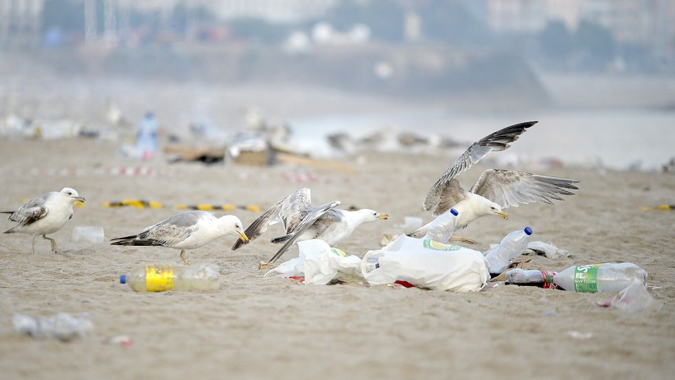 Verschmutze Strände sind eine Gefahr für Mensch und vor allem Tier. Foto: dpa/EUROPA PRESS/M. Dylan