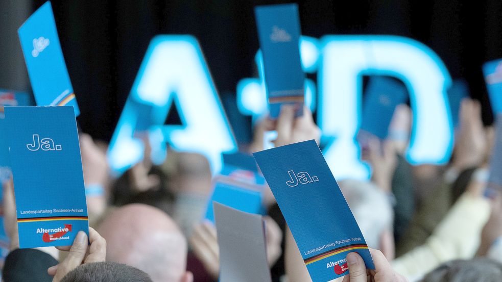 Delegierte stimmen auf dem Landesparteitag der AfD Sachsen-Anhalt in Weißandt-Gölzau ab. Foto: DPA