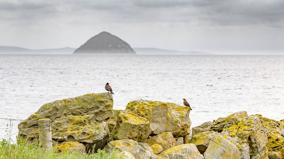 Der Golfstrom beeinflusst unser aller Wetter. Foto: imago images/Beautiful Sports
