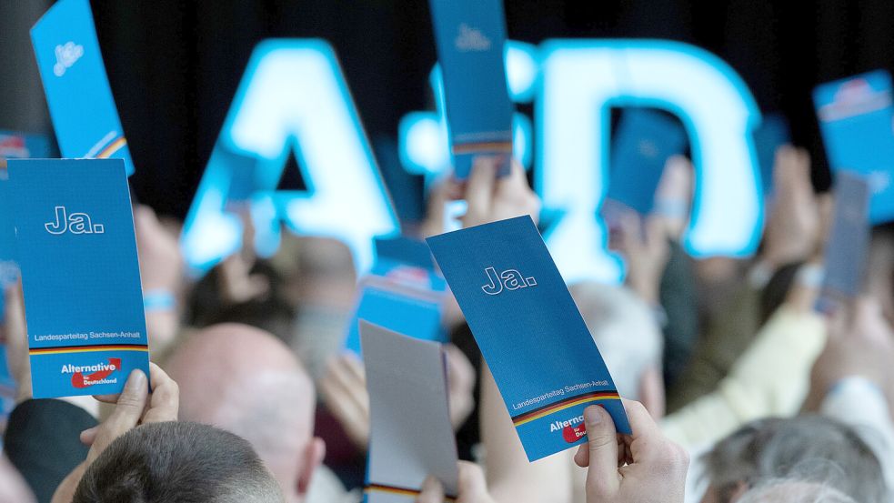 Delegierte stimmen auf dem Landesparteitag der AfD Sachsen-Anhalt in Weißandt-Gölzau ab. Foto: DPA