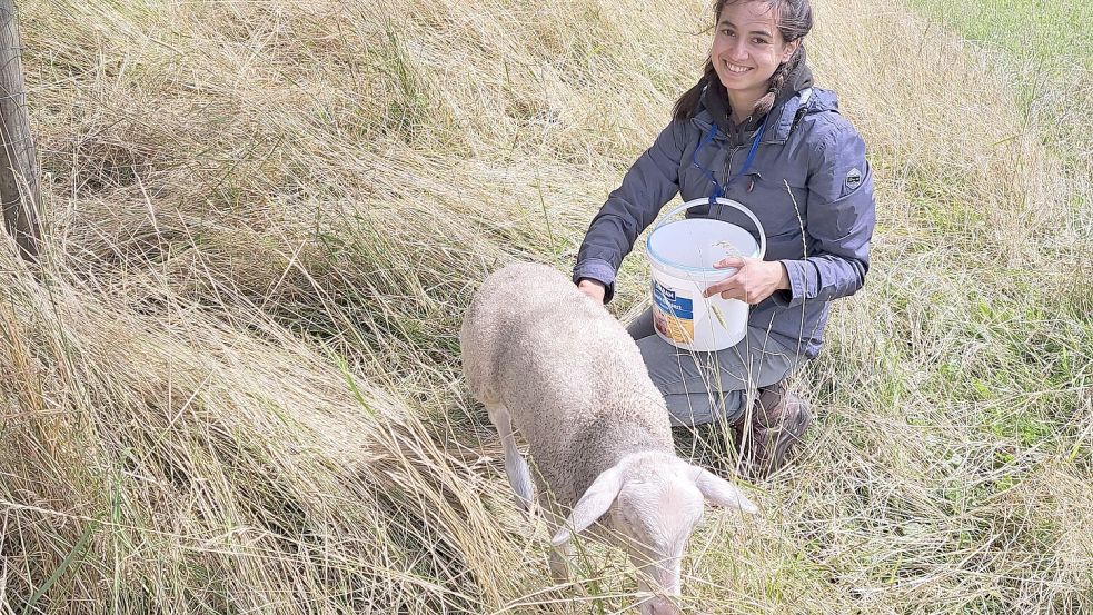 Charlotte Massarrat hat in diesem Jahr das beste Abitur in ganz Niedersachsen hingelegt und engagiert sich momentan freiwillig auf einem Ferienhof in Schleswig-Holstein. Foto: Privat