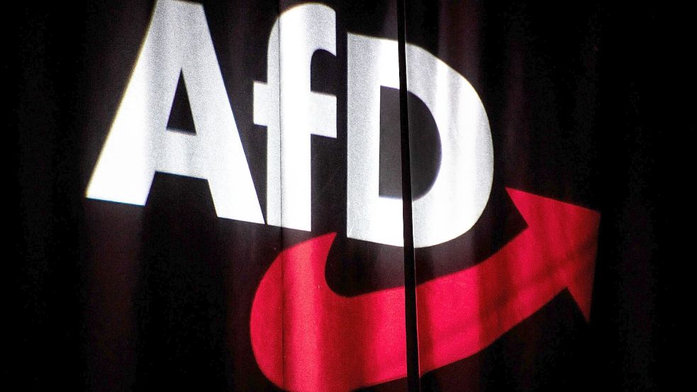 Die AfD nutzt das Europaparlament vor allem als Bühne. Eine wirkliche Zusammenarbeit mit den anderen Rechtsparteien findet nicht statt. Foto: dpa/Sina Schuldt