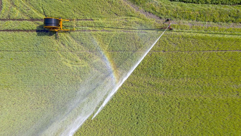 Besonders die Beregnung von immer trockeneren landwirtschaftlichen Flächen wird in Zukunft wohl weit mehr Wasser benötigen. Foto: Jochen Tack/imago-images