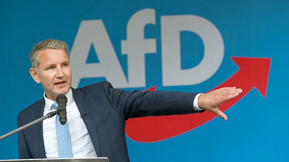 Björn Höcke gilt mit seinem „Flügel“ in der Partei als treibende rechte Kraft. Foto: dpa/Heiko Rebsch