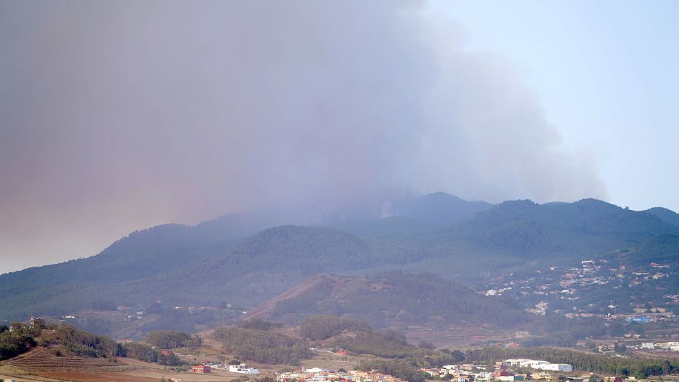 Der Waldbrand auf Teneriffa hat inzwischen fast 3000 Hektar Wald verschlungen. Foto: imago images/NurPhoto