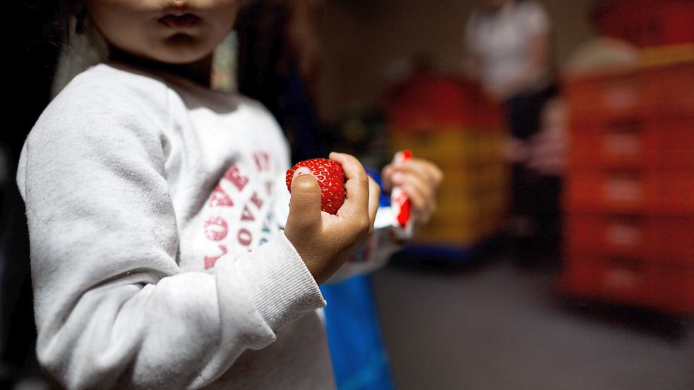 Immer mehr Kinder in Deutschland leben in Armut und sind auf Essen von der Tafel angewiesen. Foto: dpa/Carsten Koall