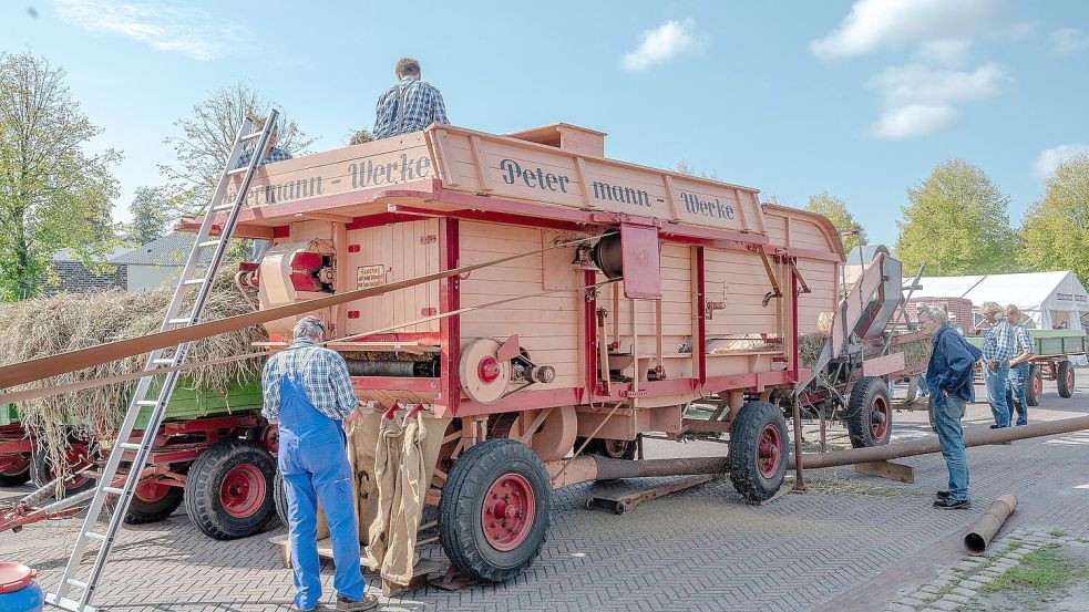 Der große Dreschsatz der Petermann-Werke ist der Star unter den Oldtimer-Geräten. Wichtig: Die Säcke für das begehrte Korn. Foto: Folkert Bents