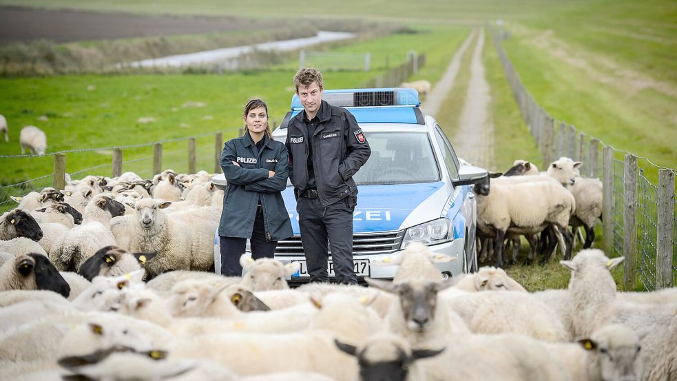 Schafe unterlaufen die Ermittlungen: der ZDF-Nordkrimi „Friesland“ mit Sophie Dal und Maxim Mehmet. Foto: ZDF/Willi Weber