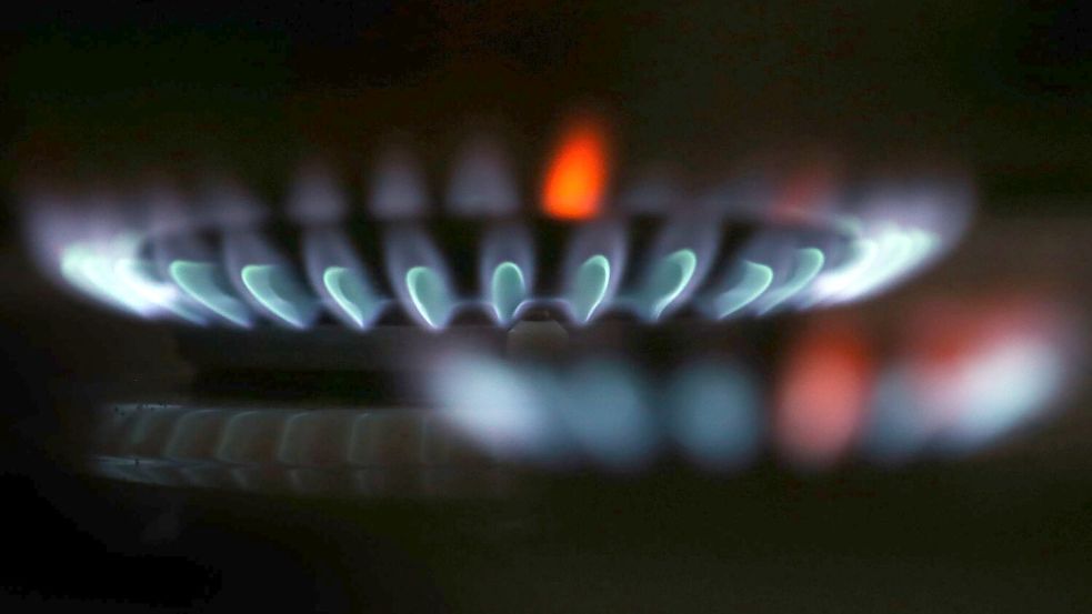 Wie viel Gas in einem Haushalt verbraucht wird, hängt von mehreren Faktoren ab. Foto: Karl-Josef Hildenbrand/dpa/dpa-tmn