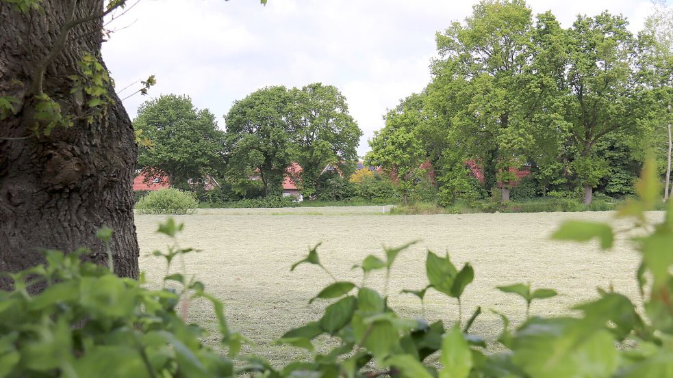 Blick von der Weizenstraße in Richtung Waternüst: Dort soll das neue Baugebiet entstehen. Foto: Heino Hermanns