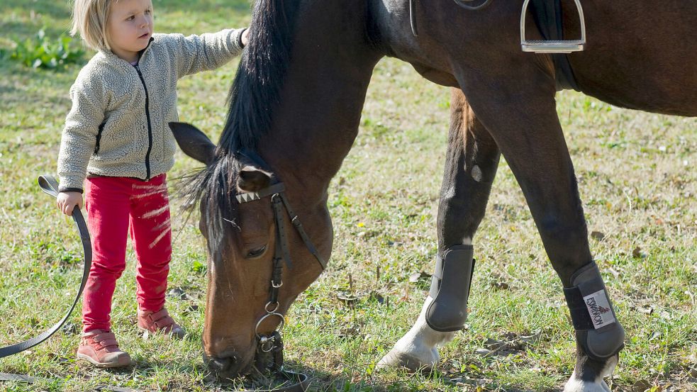 Ein Mädchen streichelt nach einer Reitstunde ein Pferd. Foto: Patrick Pleul/DPA