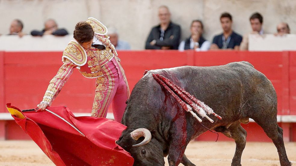 Tierschützer kritisieren, dass die gleichnamigen Stiere bei Stierkamp zur Belustigung des Publikums qualvoll getötet werden. Foto: dpa/EPA/Guillaume Horcajuelo
